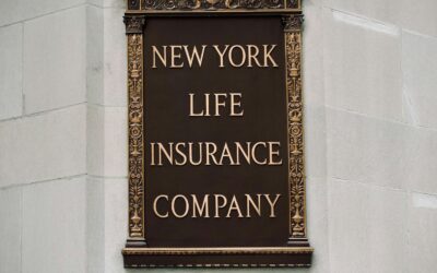 What Types of Business Insurance Do Small Businesses Usually Need?